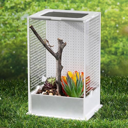 Acrylic Tank, Praying Mantis Enclosure, 12x12x12 Inches Clear Terrarium with Ventilation Mesh, Reptile Habitat, Cage with Secure Lid, Enclosure for Small Reptiles and Spiders - size: Small
