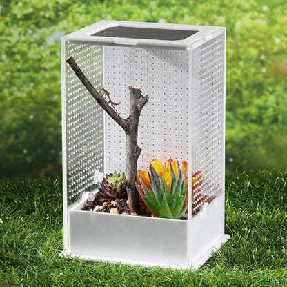 Acrylic Tank, Praying Mantis Enclosure, 12x12x12 Inches Clear Terrarium with Ventilation Mesh, Reptile Habitat, Cage with Secure Lid, Enclosure for Small Reptiles and Spiders - size: Small