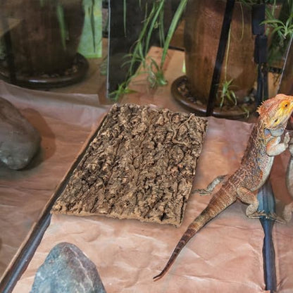 Homoyoyo 2Pcs Reptile Bark Decor Wood,Natural Cork Bark,Reptile Habitat Climbing Tree Bark Terrarium Landscaping Tree Bark Tree for Bearded Dragon Lizard Geckos Tortoise Random Shape