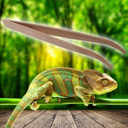 Wood Color Angled Reptile Feeding Tongs Tweezers 28cm Bamboo Eco-Friendly Feeding Tool，Reptiles and Amphibians，Reptile Terrariums