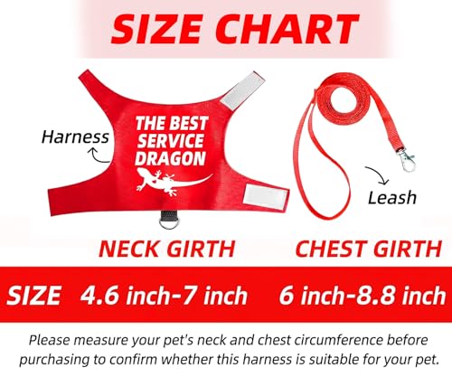 Bearded Dragon Harness and Leash Set, Escape Proof Adjustable Lizard Reptile Vest Clothes with 5.5 ft Leash for Outdoor Walking, Best Service Dragon Design