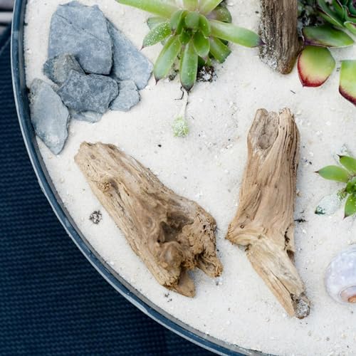 FANTIAN 5 lbs Aquarium White Sand, 0.8-2 mm Mini Aquarium Gravel. Coarse Sand for Fish Tank, Paintings, Succulent Plants Potted, Fire Pits, Candle, Vase Filler and Crafts - color: White, size: 5 LB