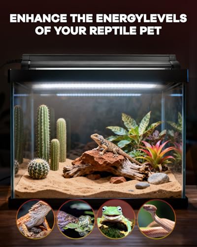 UVB Light for Reptile 24W, T5 UVB Reptile Light Fixture HO Combo Kit with Test Sensor Cards, 22" High Output Reptiles Light Bar UVA UVB Desert Lamp for Turtle Lizard Bearded Dragon Tank - color: White