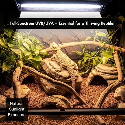 T5 HO UVB Reptile Lamp – High-Output 8W 10.0 UVB Bulb for Reptiles – 12'' Liner UVB Light Ideal for Bearded Dragons, Chameleons & Turtles (8W UVB10.0 T5 Bulb) - size: 8W UVB10.0 T5 Bulb
