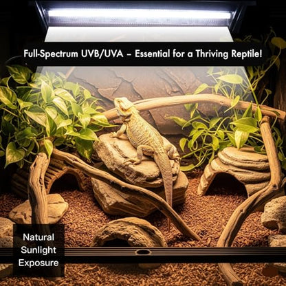 T5 HO UVB Reptile Lamp – High-Output 8W 10.0 UVB Bulb for Reptiles – 12'' Liner UVB Light Ideal for Bearded Dragons, Chameleons & Turtles (8W UVB10.0 T5 Bulb) - size: 8W UVB10.0 T5 Bulb