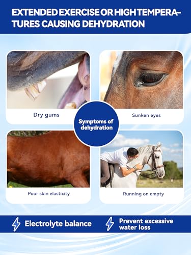 Horse Electrolytes Powder, Electrolyte for Horses with Sodium & Potassium, Equine Hydration Supplement-1400g - size: Big Tub