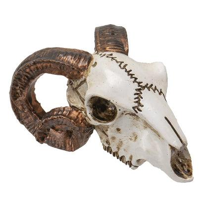 Pacific Giftware Mini Ram Skull Figurine Polyresin Skeleton Head Tabletop Decor Halloween Micro Landscape Accent by Alchemy England