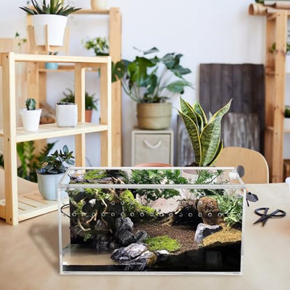 Tlence Acrylic Tarantula Enclosure Terrarium, 8" x 4" x 4" Small Magnetic Reptile Tank, Micro Spider Breeding Habitat Cage, Clear Ventilated Lizard Display Box for Hermit Crab Invertebrates Scorpion