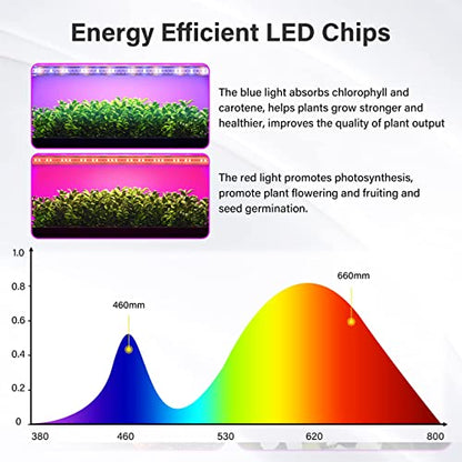 iPower LED Plant Grow Light Strips Full Spectrum with 3 Timing Modes, 10 Dimmable Levels 48 LEDs Per Tubes, Sunlike Grow Lamp for Hydroponics Succulent,Red & Blue - color: Red&Blue, size: 3 Tubes, style: Grow Light Strips