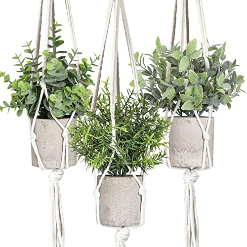 Artificial Plants 3 Pack Mini Fake Plants Fake Hanging Plants Artificial Decor with 3 Macrame Plant Hangers Decorative Plants Faux Hanging Plants Greenery Decor for Wall Kitchen Bathroom Home Office - color: Rosemary & Eucalyptus