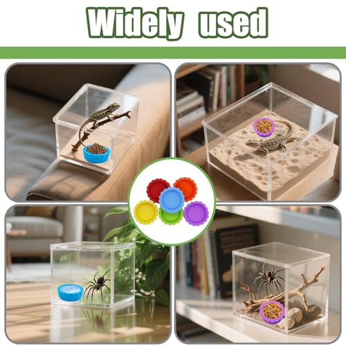 6 Pack Crested Gecko Food Dish, Gecko Food Bowl, Reusable Small Reptile Feeding Dish, Crested Gecko Tank Accessories for Hermit Crab,Turtle, Tarantula, Snake-6 Colors