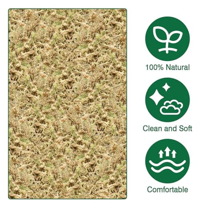 ZeeDix 6L Premium Sphagnum Moss for Plants Indoor, New Zealand Sphagnum Moss for Orchid Potting Mix Terrarium Succulent Carnivorous Ferns Hosta Garden & Reptile Habitat - size: 6L