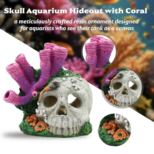 Skull Aquarium Hideout with Coral – Betta Fish Tank Decorations, Shrimp Cave & Small Fish Hideaway, Resin Underwater Skull Decor for Freshwater Aquarium