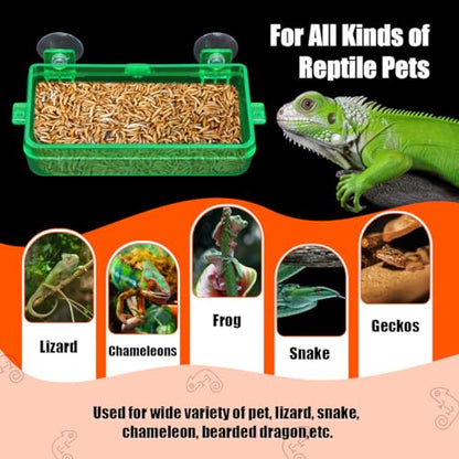 Reptile Feeder Chameleon Bowl 2 Pcs Anti-Escape Food Dish Bowl with Suction Cup for Chameleon Iguana Lizard Reptile Food and Water Feeding (Green, M) - color: Green, size: M