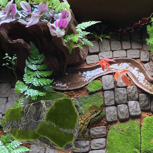 Mossy Reptile Rock Hides and Caves,Artificial Green Moss Cave Hideout for Reptile and Snake, Simulation Rock Tortoise Habitat Accessories,Terrarium & Aquariums Decor (Green, Large) - size: Large