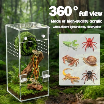 No Assembly Upgraded Acrylic Jumping Spider Enclosure Kit,Magnetic Closure Front Door & 3-Side Ventilation, with Tweezer &Thermometer Strips &Reptile hidepout,Ideal for Snail,Insect,Lizard,Tarantula - size: Habitat+Tweezers+Temperature strip+Hideout