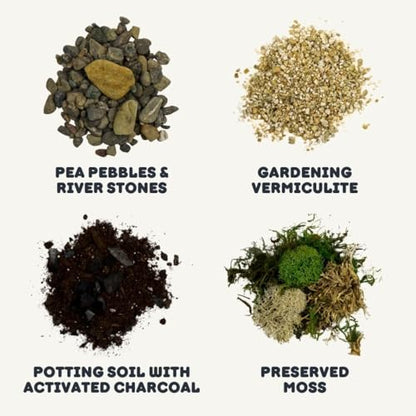 Cute Farms Terrarium Starter Kit | Moss, Vermiculite, Soil, Pebbles, Plant Food, Finishing Tools, Build and Care Guide | DIY Succulent Terrarium for Adults and Kids (Medium) - size: Medium Kit