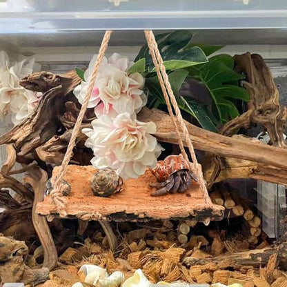 Oooct Hermit Crab Climbing Toy, Natural Wooden Reptile Swing Toy, Pet Cage Tank Aquarium Accessories for Hermit Crab Lizard Chameleon Hamster Guinea Pig Chinchilla Bird Parrot - size: Medium-7.8 × 5.9 Inch