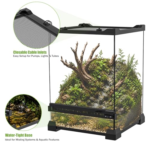 Reptile Terrarium 10"x10"x14", Full Glass Tank Enclosure for Small Reptiles, Geckos, Frogs, Lizards, Snakes, Spiders, Turtles, Vertical Rainforest Habitat - size: 10" x 10" x 14"