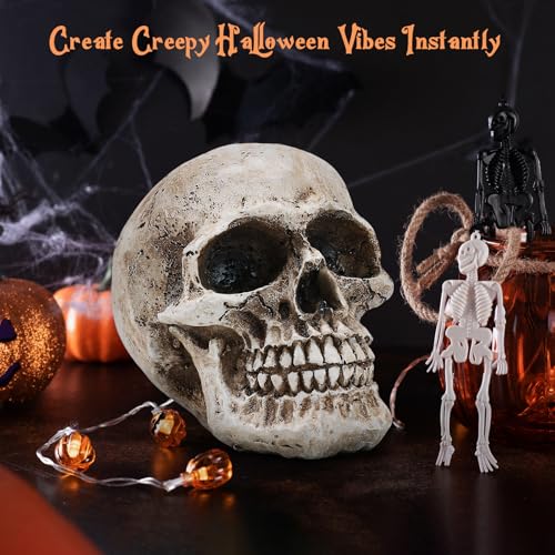 Skull Decor, Resin Realistic Skeleton Head Statue for Halloween, Fake Human Bone Skull Model for Halloween Decoration, Home, Party, Table, Bookshelf