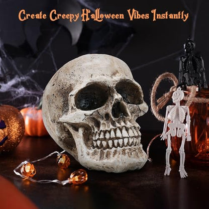 Skull Decor, Resin Realistic Skeleton Head Statue for Halloween, Fake Human Bone Skull Model for Halloween Decoration, Home, Party, Table, Bookshelf
