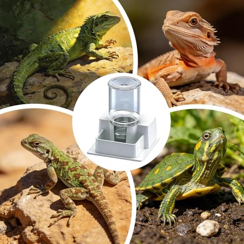Automatic Reptile Feeder - Reptile Automatic Dish, Crab Water Dispenser | ABS, Bearded Dragon Water Bowl Food Container for Lizard Chameleon Snake Frog Hermit Crab Amphibian Habitat - color: White