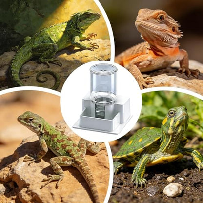 Automatic Reptile Feeder - Reptile Automatic Dish, Crab Water Dispenser | ABS, Bearded Dragon Water Bowl Food Container for Lizard Chameleon Snake Frog Hermit Crab Amphibian Habitat - color: White