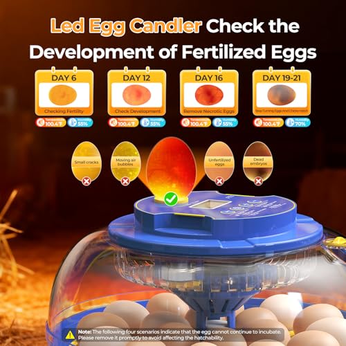 18 Egg Incubators for Hatching Eggs, 360° View with Automatic Egg Turning & Humidity Control, Built-in Egg Candler for Hatching Chicken, Duck, Goose, Quail, Ideal for Home, Classroom, Laboratory, Farm