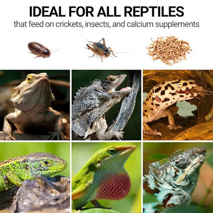 Cricket Calcium Powder Mixer for Reptiles, Cricket Feeder with Calcium for Reptiles, Reptile Calcium Duster Cricket Food for Reptile Bearded Dragon Gecko Terrarium Tank Accessories