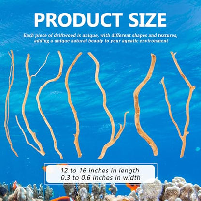 150g Natural Driftwood for Aquarium 12''-16'' Reptile Branches Terrarium Wood Long Driftwood for Aquarium Assorted Shapes Natural Decor - style: 0.33lb
