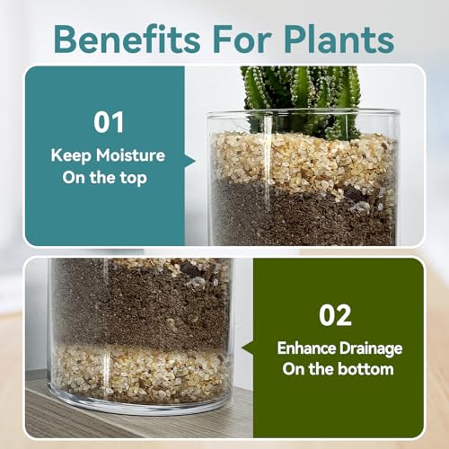 1-2mm Coarse Sand for Plants, 6lb Horticultural Sand for Succulents, Desert Silica Sand for Cactus, Vases, Aquariums, Terrarium, Fish Tank, Drainage Rocks for Potted Plants, Bamboo, Crafts