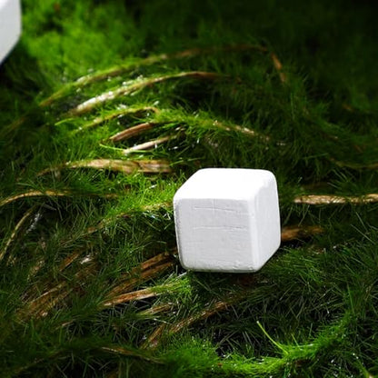 INOOMP 30pcs Reptile Calcium Blocks Supplement for Tortoise Lizard Frog and Chameleon Support Health and Growth Amphibian Care