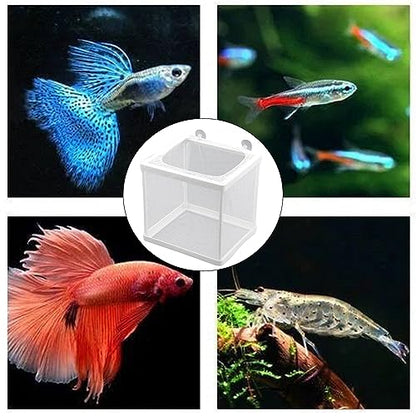MY MIRONEY 6.3" x 5.63" x 6.22" Fish Incubator Mesh Box Aquarium Breeder Box White Nylon Mesh Juvenile Fish Separation Net Fry Hatchery with Suction Cups Pack of 2 - style: 6.3" x 5.63" x 6.22"; White; without Divider