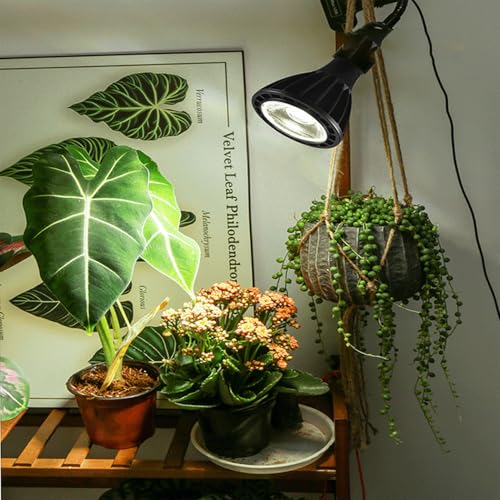 Sxminer 18W Full Spectrum LED Plant Light Bulb, E26/E27 Base, High PPFD 120LM/W, 5800K Cool Daylight, 24° Focused Beam, CRI 98+, for Indoor Plants, Seedlings, Succulents, Greenhous – 1 Pack