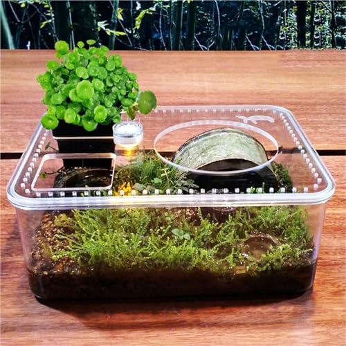 Reptile Tank Turtle breeding Tank Water and Land with Sun Drying Platform Small Desktop Easy Assembly