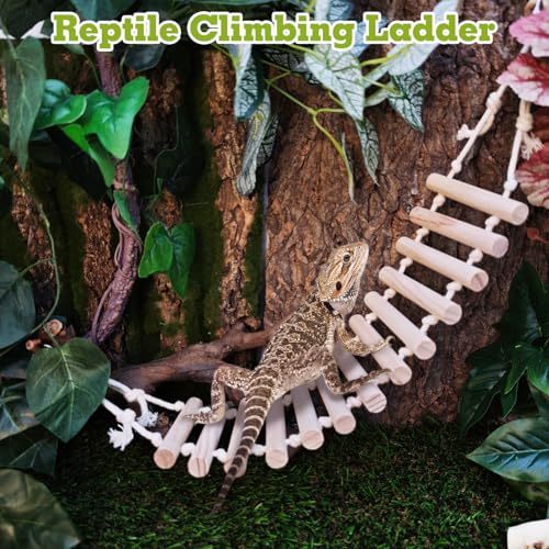 VCEPJH Snake Climbing Branch, 2Pcs Reptile Wood Natural Cork Log and 2 Pcs Reptile Bridge Leopard Gecko Climbing Ladder Wooden Basking for Crested Gecko Bearded Dragon Hermit Crab