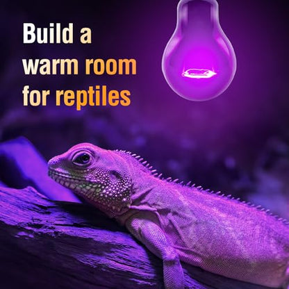 Leoterra 75W Reptile Night Heat Lamp (2 Pack) - Winter Heating for Ball Python, Leopard Gecko, Bearded Dragon - 20-40 Gallon Tank Purple Moonlight Bulb E26 2000+ Hours - style: Ambient Moonlight Aesthetic/Durable Heavy-Duty Construction /Premium Vacuum-Co