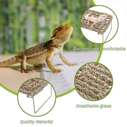 Yesland 2 Pack Bearded Dragon Hammock Reptile Tank Climbing Accessories Decor Lounger for Rest Basking Platform Metal Legs Bed Habitat for Lizard Leopard Gecko Snake Hermit Crab and Frog (Rectangle)