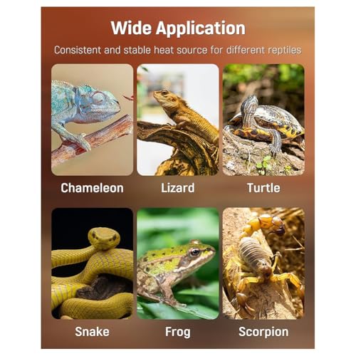 5W Reptile Heat Pad with Digital Thermostat & Timer 7 X 5Inch Reptile Heating Pad Tank Heater Terrarium Heat Mat US Plug