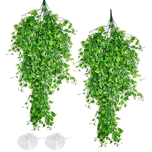 Hamiledyi Reptile Plants Tank Habitat Decorations 2 Pcs Artificial Leaves Habitat Decorations with Suction Cup Fake Hanging Vines for Bearded Dragon, Leopard Gecko, Lizard, Chameleon, Snake - color: 2 Pcs 31.8 Inches Greenreptile Plants