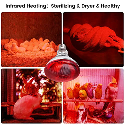 Heat Lamp for Chickens Coop Brooder and Reptile Heat Bulb 150 Watt Infrared Red Light