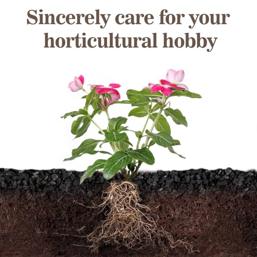 RAINFLOW Horticultural Charcoal for Plants - 290G Natural Earth Regulated Supplement for Potting Soil Indoor Plants, 3-5mm Succulent Soil, Organic Biochar, Paphiopedilum, Bonsai
