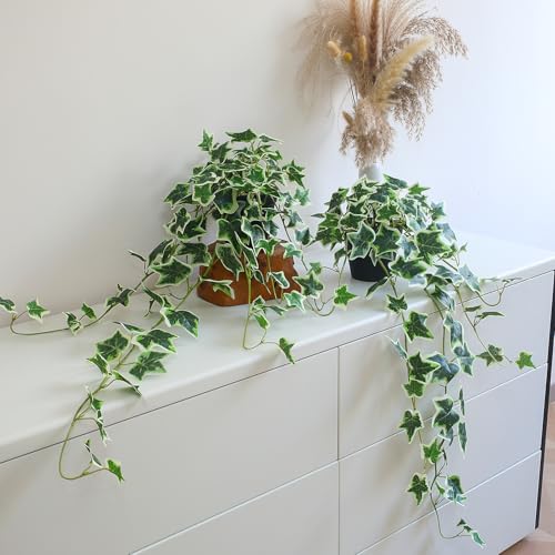 Fake English Ivy Plants in Pots Set of 2 – Realistic Artificial Ivy Greenery for Home Decor, Tabletop, Office, Shelf, Balcony, Lifelike Faux Hanging Vines, No Maintenance Required - White and Green - color: White and Green