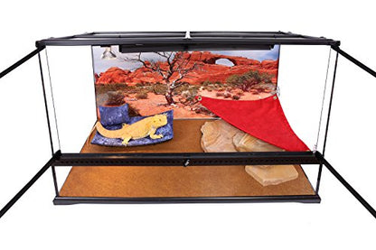 Reptile Habitat Background, Arch with Tree, 15.75" x 36"
