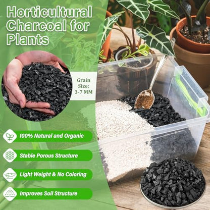 Legigo 10 LB Organic Leca Clay Pebbles & 2 QT Horticultural Charcoal, Natural Soil Amendment for Drainage, Aeration, and Healthy Indoor Plants, Orchids, Hydroponics & Terrariums