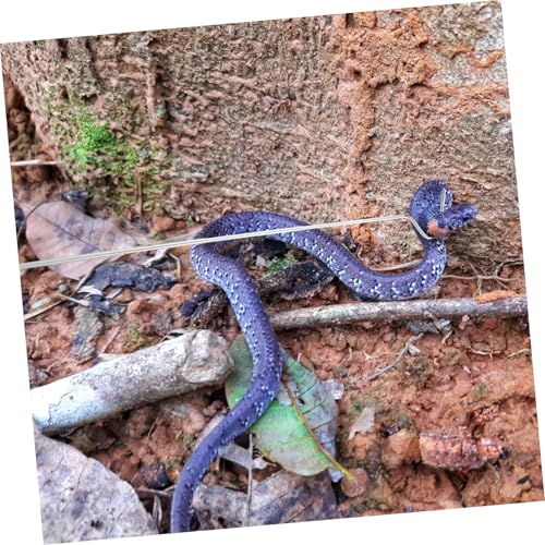 Snake Catcher Tool Retractable Reptile Hook Sturdy Stainless Steel Snake Trap Extendable for Professionals