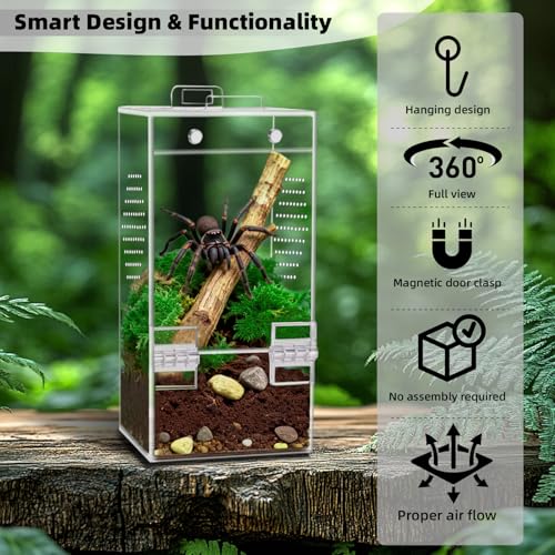 Acrylic Jumping Spider Enclosure 3.5×3.5×7 In – Can Be Hung | Magnetic Jumping Spider Enclosures | Ventilated&Stackable Spider Habitat | Tiny Spider Enclosure for Jumping Spiders & Praying Mantis Cage