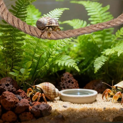 1 Pack 21.7" Hermit Crab Climbing Toys Hanging Hermit Crab Rope Ladder Reptile Vines Toys Reptile Tank Terrarium Accessories Habitat Decor for Leopard Gecko Lizards Frog