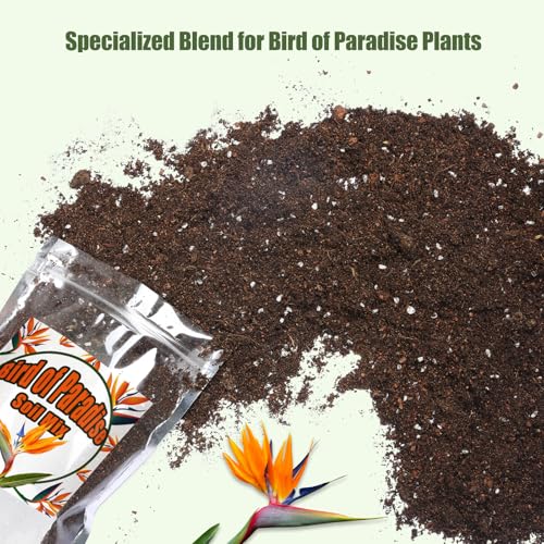 Organic Bird of Paradise Potting Soil Mix 1qt, Ideal for Indoor/Outdoor Potted Plants, Promotes Optimal Growth for Bird of Paradise - size: 1qt