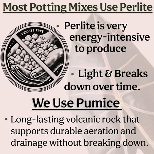 Craft Organic Houseplant Potting Mix, Elite House Plant Soil, Chunky, Well Draining Potting Soil for All Indoor Plants, Tropical Plants & Flowers, Sustainable & Peat Free, Less Prone to Gnats, 2QT - size: 2 quarts